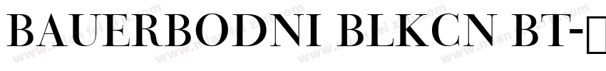 BauerBodni BlkCn BT字体转换
